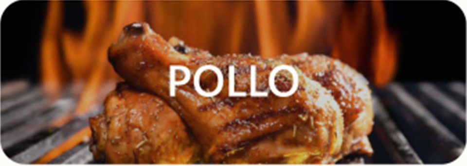 POLLO